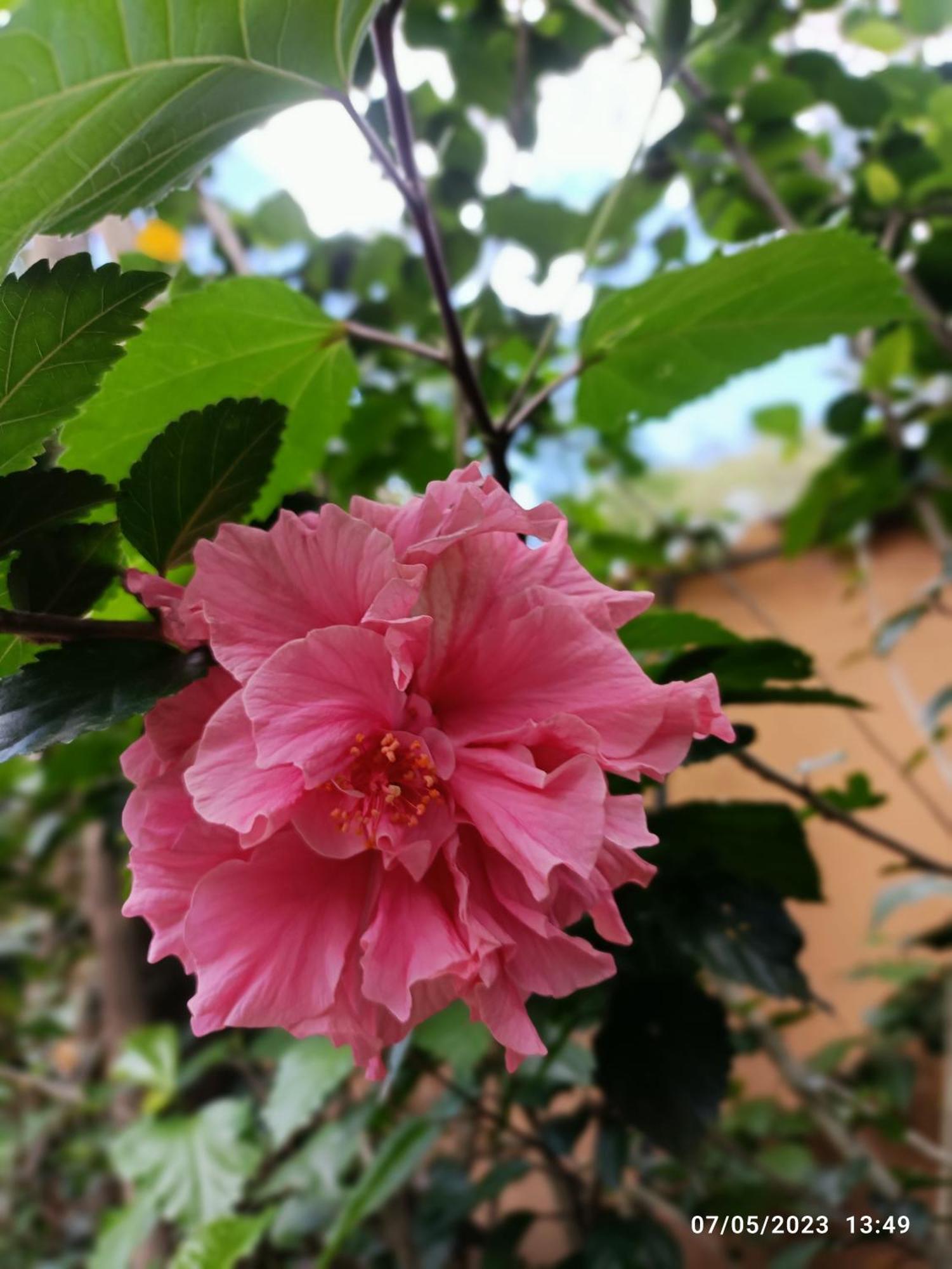 La Casa De La Nonna Bed & Breakfast Кито Екстериор снимка